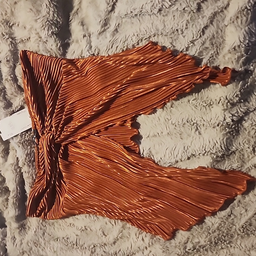 NWT Strapless Copper Crop Top